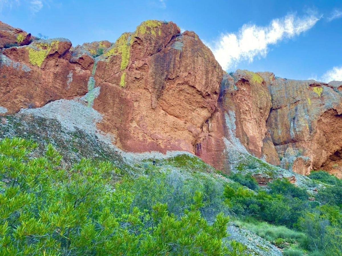 Appartamento Red Mountain Ridge Karoo Oasis And Guest Farm Buffelskloof Esterno foto